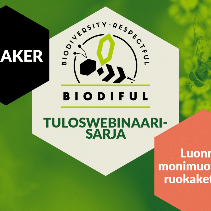 webinaarisarja mainos
